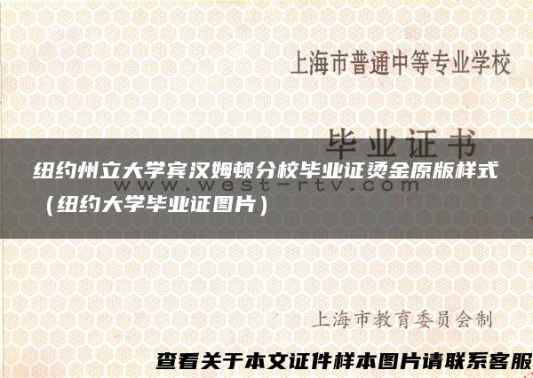 纽约州立大学宾汉姆顿分校毕业证烫金原版样式（纽约大学毕业证图片）