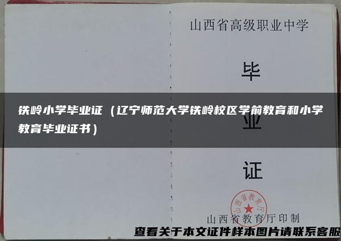 铁岭小学毕业证（辽宁师范大学铁岭校区学前教育和小学教育毕业证书）