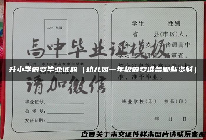 升小学需要毕业证吗（幼儿园一年级需要准备哪些资料）