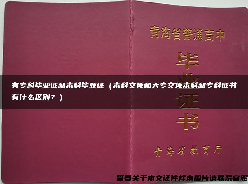 有专科毕业证和本科毕业证（本科文凭和大专文凭本科和专科证书有什么区别？）