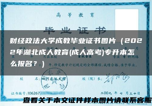 财经政法大学成教毕业证书图片（2022年湖北成人教育(成人高考)专升本怎么报名？）