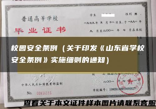 校园安全条例（关于印发《山东省学校安全条例》实施细则的通知）