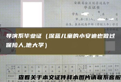 导演系毕业证（深蓝儿童的小安迪也做过保险人,他大学）