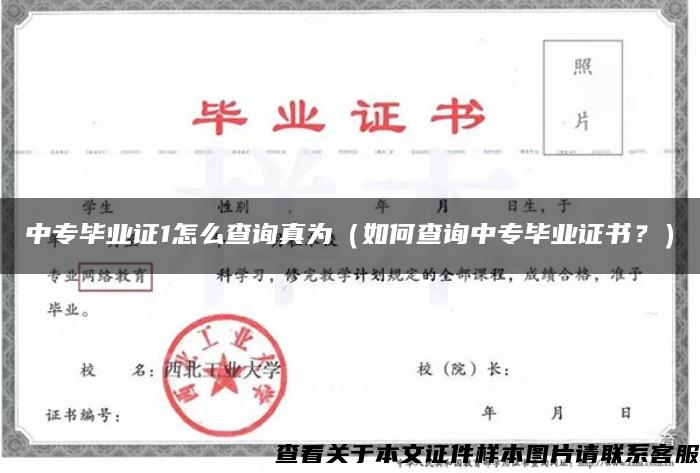 中专毕业证1怎么查询真为（如何查询中专毕业证书？）