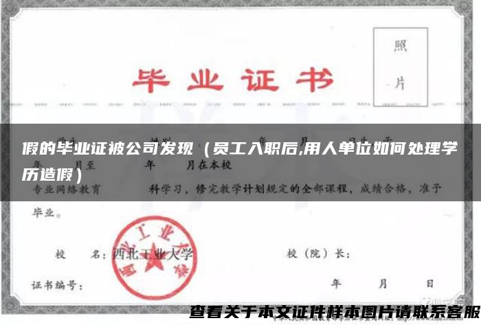 假的毕业证被公司发现（员工入职后,用人单位如何处理学历造假）