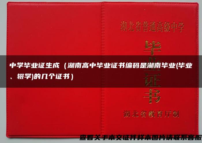 中学毕业证生成（湖南高中毕业证书编码是湖南毕业(毕业、辍学)的几个证书）