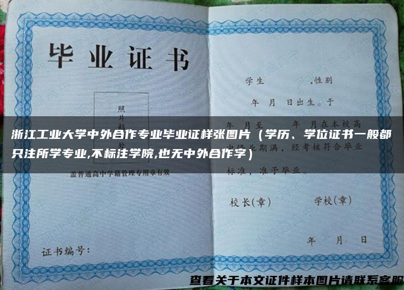 浙江工业大学中外合作专业毕业证样张图片（学历、学位证书一般都只注所学专业,不标注学院,也无中外合作字）