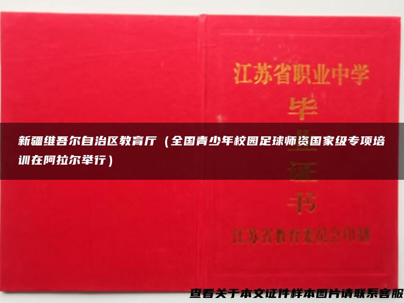 新疆维吾尔自治区教育厅（全国青少年校园足球师资国家级专项培训在阿拉尔举行）