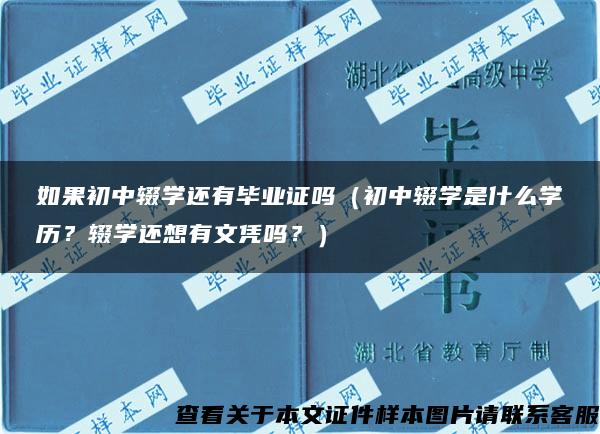 如果初中辍学还有毕业证吗（初中辍学是什么学历？辍学还想有文凭吗？）