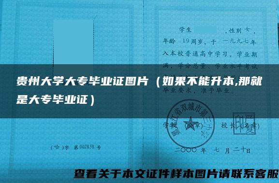 贵州大学大专毕业证图片（如果不能升本,那就是大专毕业证）