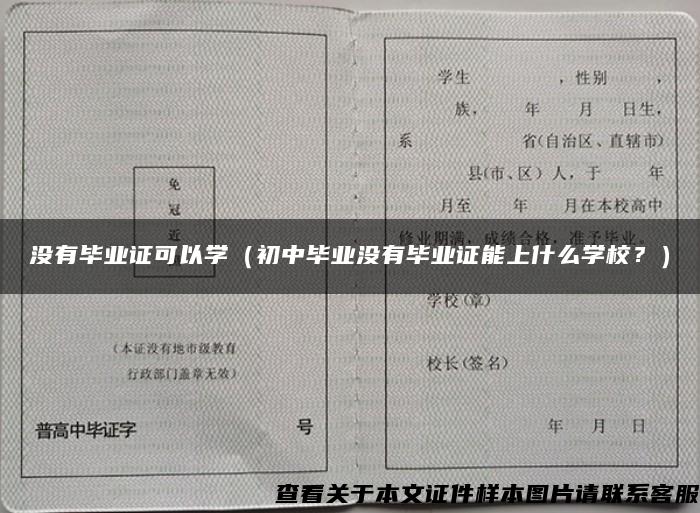 没有毕业证可以学（初中毕业没有毕业证能上什么学校？）