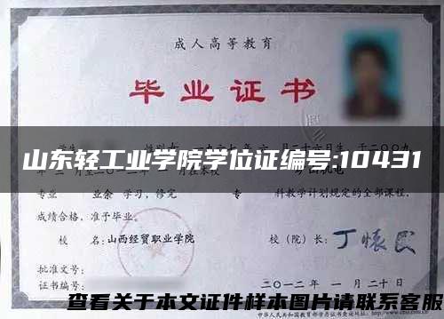 山东轻工业学院学位证编号:10431