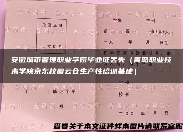 安徽城市管理职业学院毕业证丢失（青岛职业技术学院京东校园云仓生产性培训基地）