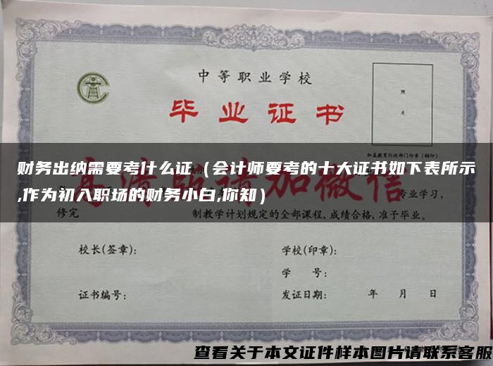 财务出纳需要考什么证（会计师要考的十大证书如下表所示,作为初入职场的财务小白,你知）