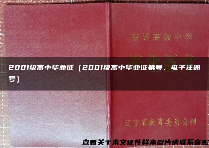 2001级高中毕业证（2001级高中毕业证第号、电子注册号）