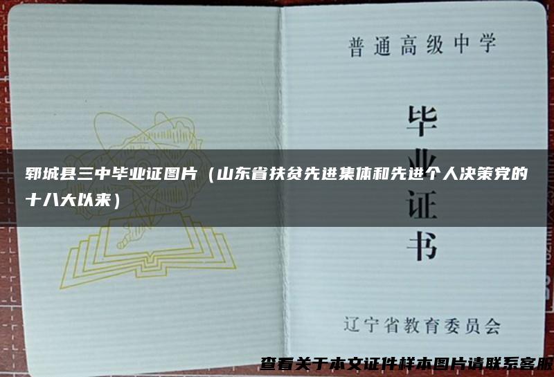 郓城县三中毕业证图片（山东省扶贫先进集体和先进个人决策党的十八大以来）