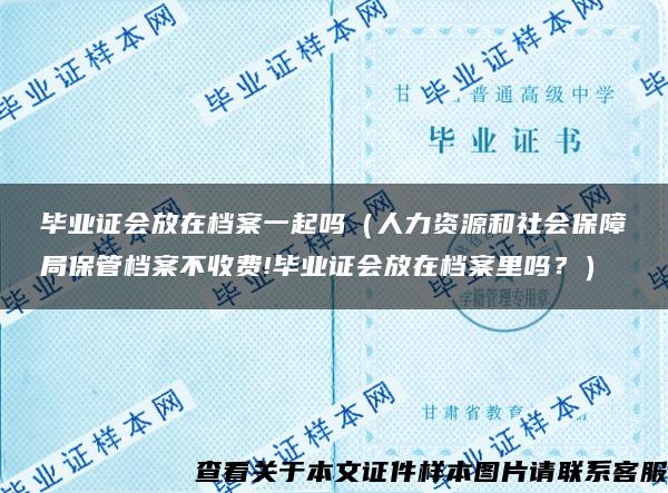 毕业证会放在档案一起吗（人力资源和社会保障局保管档案不收费!毕业证会放在档案里吗？）