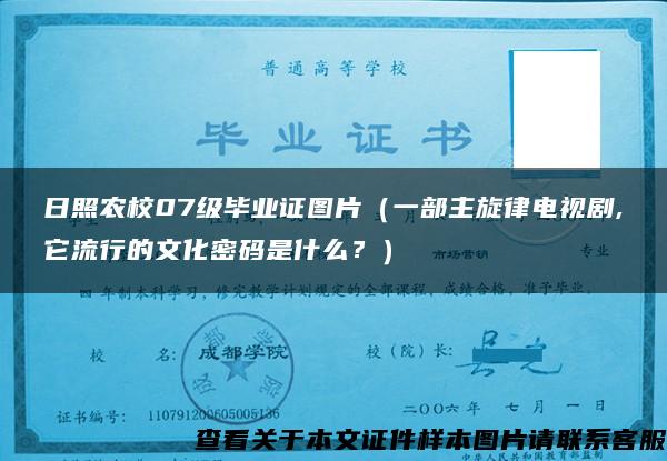 日照农校07级毕业证图片（一部主旋律电视剧,它流行的文化密码是什么？）