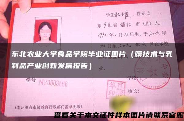 东北农业大学食品学院毕业证图片（膜技术与乳制品产业创新发展报告）