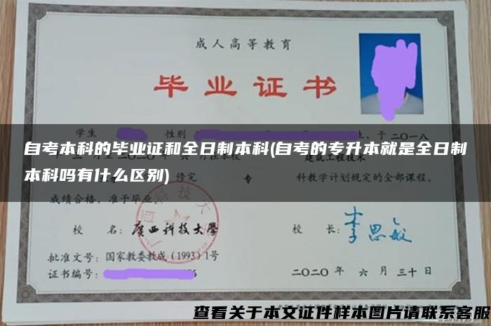 自考本科的毕业证和全日制本科(自考的专升本就是全日制本科吗有什么区别)