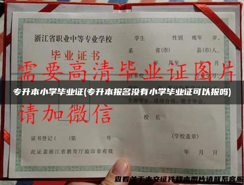 专升本小学毕业证(专升本报名没有小学毕业证可以报吗)