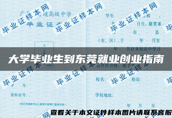 大学毕业生到东莞就业创业指南