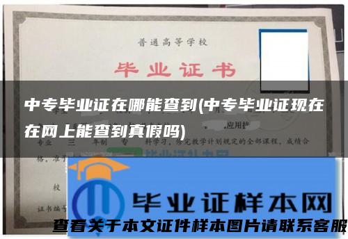 中专毕业证在哪能查到(中专毕业证现在在网上能查到真假吗)