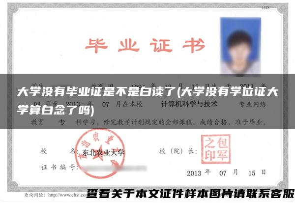 大学没有毕业证是不是白读了(大学没有学位证大学算白念了吗)