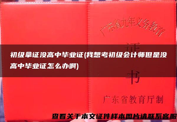 初级拿证没高中毕业证(我想考初级会计师但是没高中毕业证怎么办啊)