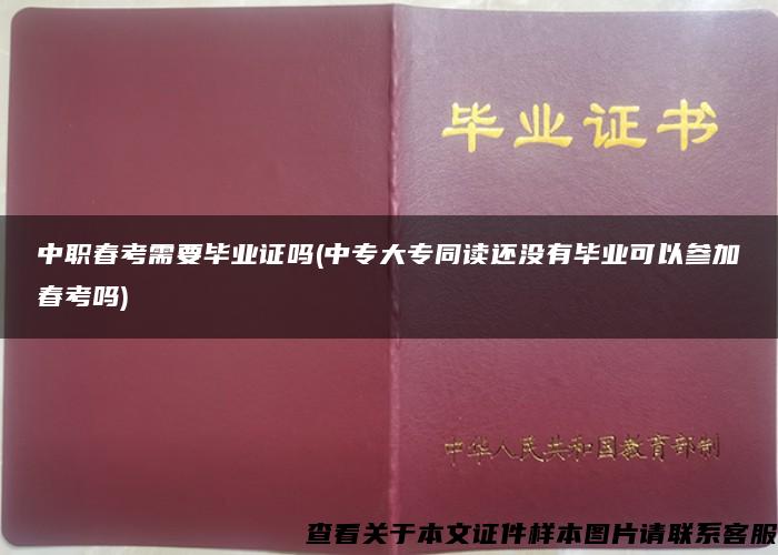 中职春考需要毕业证吗(中专大专同读还没有毕业可以参加春考吗)