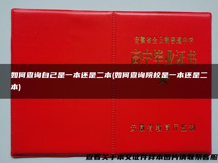 如何查询自己是一本还是二本(如何查询院校是一本还是二本)