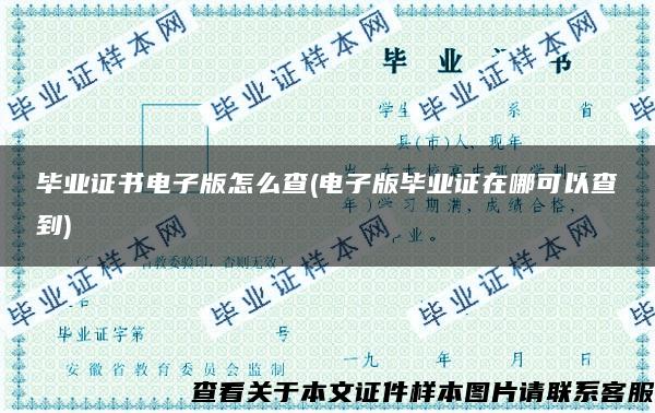 毕业证书电子版怎么查(电子版毕业证在哪可以查到)