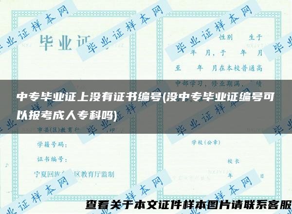 中专毕业证上没有证书编号(没中专毕业证编号可以报考成人专科吗)