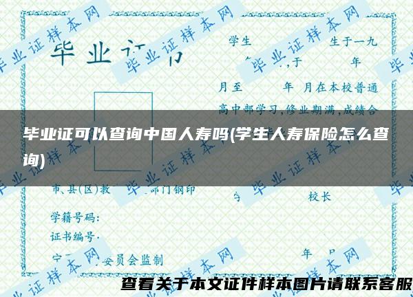 毕业证可以查询中国人寿吗(学生人寿保险怎么查询)