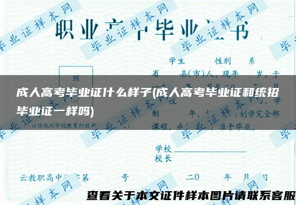 成人高考毕业证什么样子(成人高考毕业证和统招毕业证一样吗)