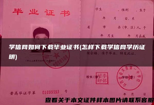 学信网如何下载毕业证书(怎样下载学信网学历证明)