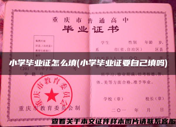 小学毕业证怎么填(小学毕业证要自己填吗)