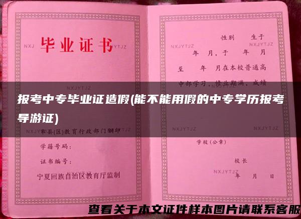 报考中专毕业证造假(能不能用假的中专学历报考导游证)