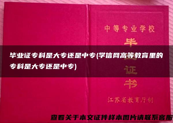 毕业证专科是大专还是中专(学信网高等教育里的专科是大专还是中专)