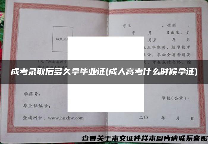 成考录取后多久拿毕业证(成人高考什么时候拿证)