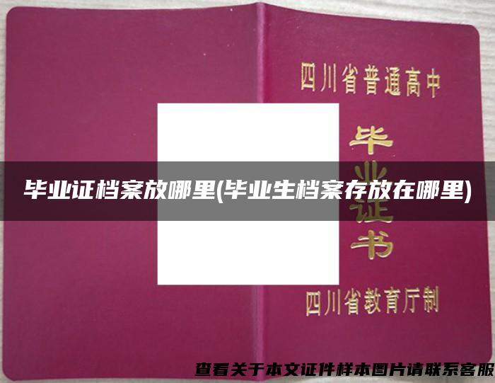 毕业证档案放哪里(毕业生档案存放在哪里)