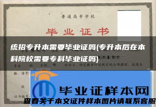 统招专升本需要毕业证吗(专升本后在本科院校需要专科毕业证吗)