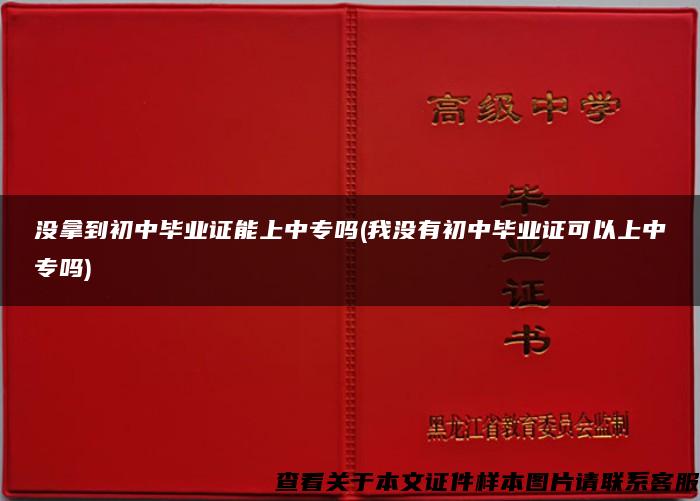 没拿到初中毕业证能上中专吗(我没有初中毕业证可以上中专吗)