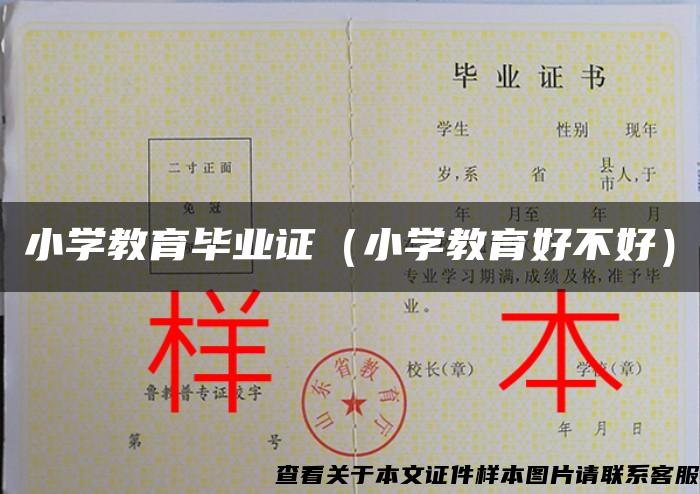 小学教育毕业证（小学教育好不好）