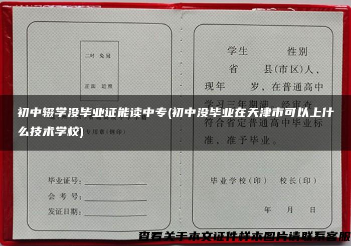 初中辍学没毕业证能读中专(初中没毕业在天津市可以上什么技术学校)