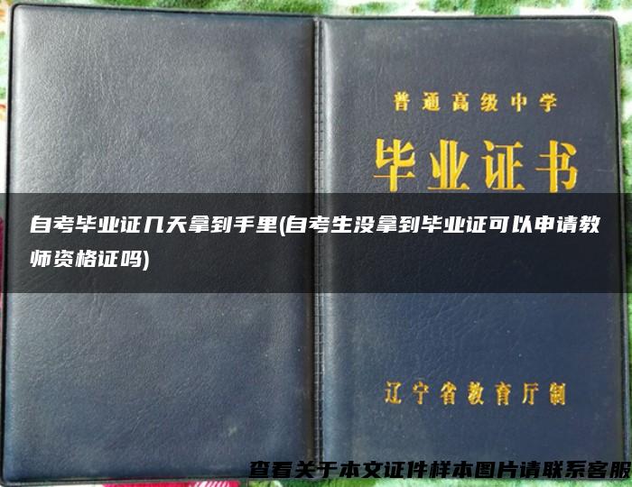 自考毕业证几天拿到手里(自考生没拿到毕业证可以申请教师资格证吗)