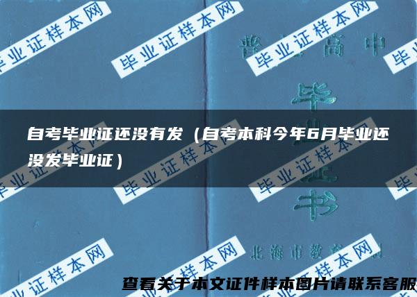 自考毕业证还没有发（自考本科今年6月毕业还没发毕业证）