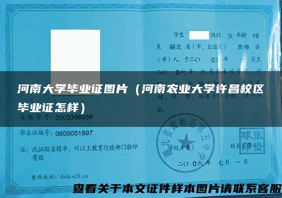 河南大学毕业证图片（河南农业大学许昌校区毕业证怎样）