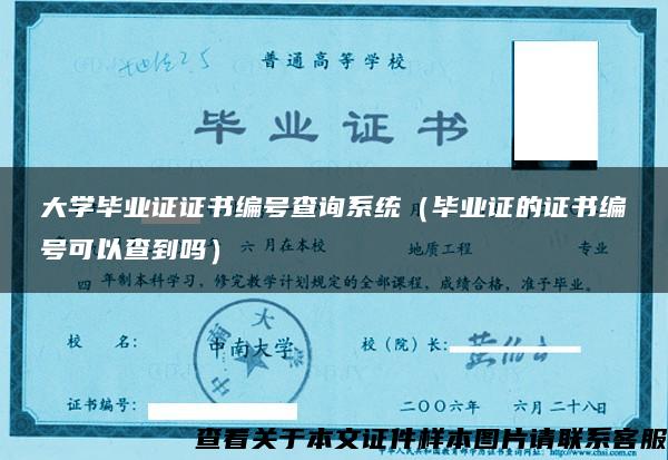 大学毕业证证书编号查询系统（毕业证的证书编号可以查到吗）