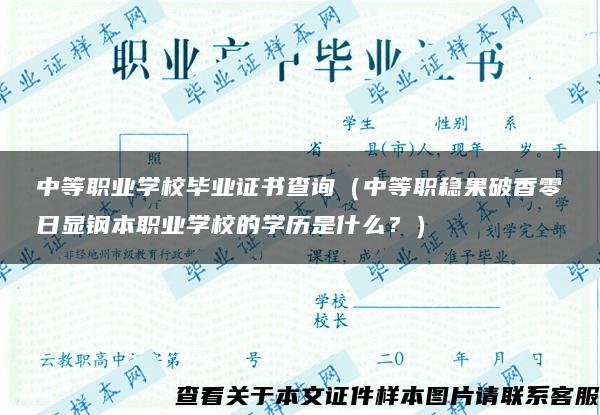 中等职业学校毕业证书查询（中等职稳果破香零日显钢本职业学校的学历是什么？）